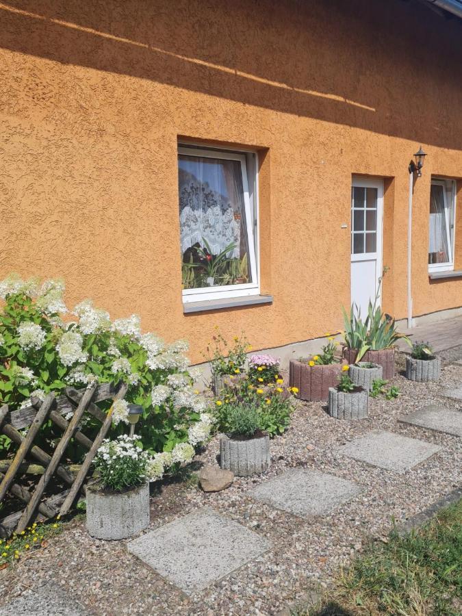 Ferienwohnung Warnitz Blankenburg  Kültér fotó